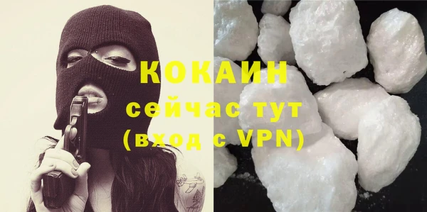 дживик Арсеньев